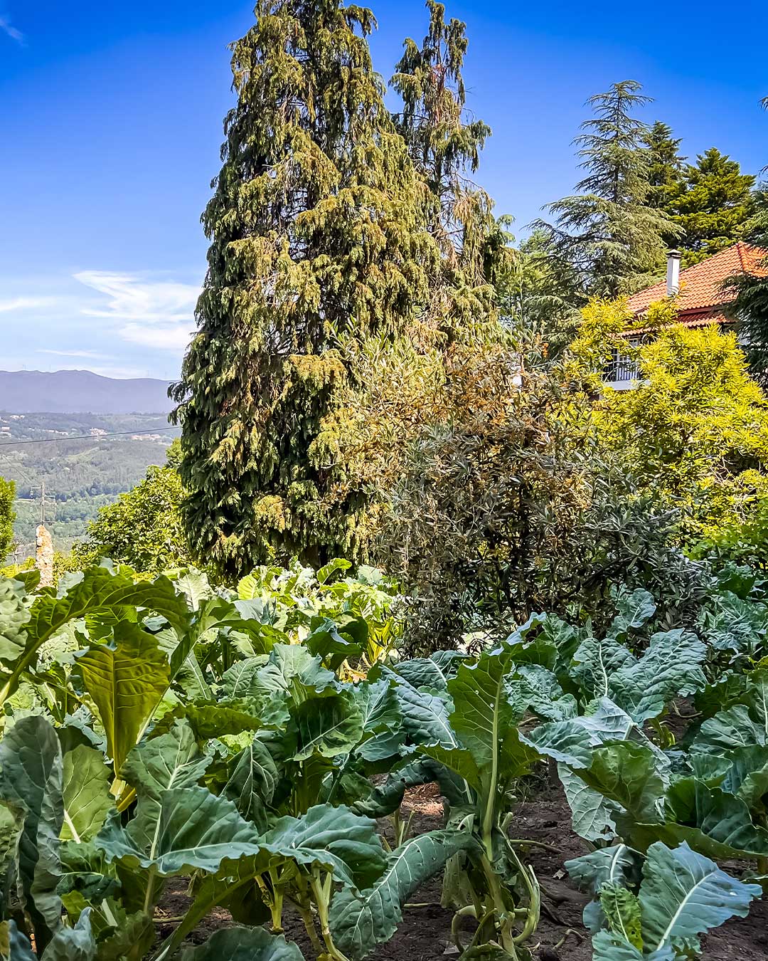 Quinta da Cavada Vouzela